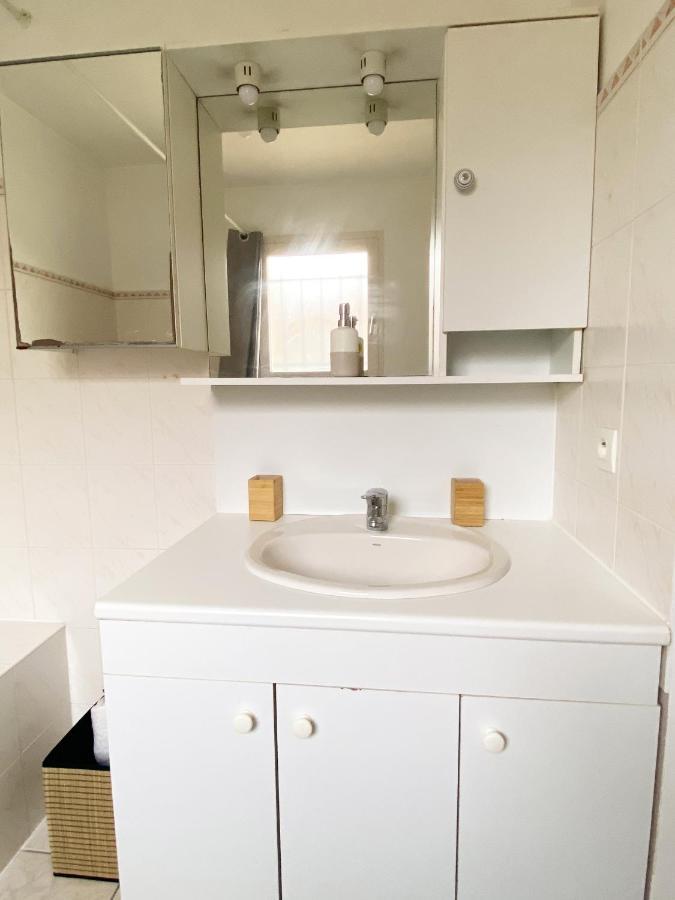 Villa Avec Jardin 600M² Netflix Proche Toulouse 科洛米耶 外观 照片
