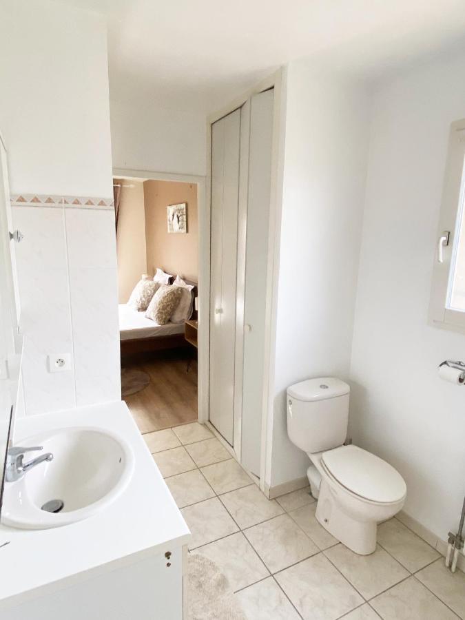 Villa Avec Jardin 600M² Netflix Proche Toulouse 科洛米耶 外观 照片